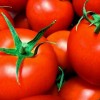トマトのレシピ☆人気があって美味しくて簡単なものってある？
